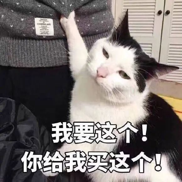 DƬ